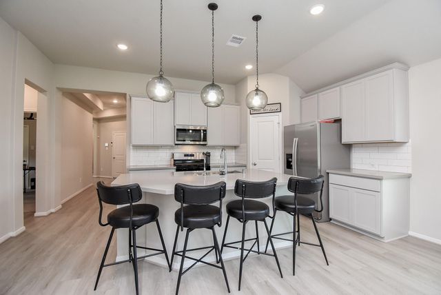 17007 Shine Bright Court, Hockley, TX 77447