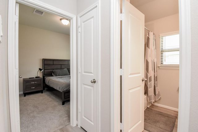 17007 Shine Bright Court, Hockley, TX 77447