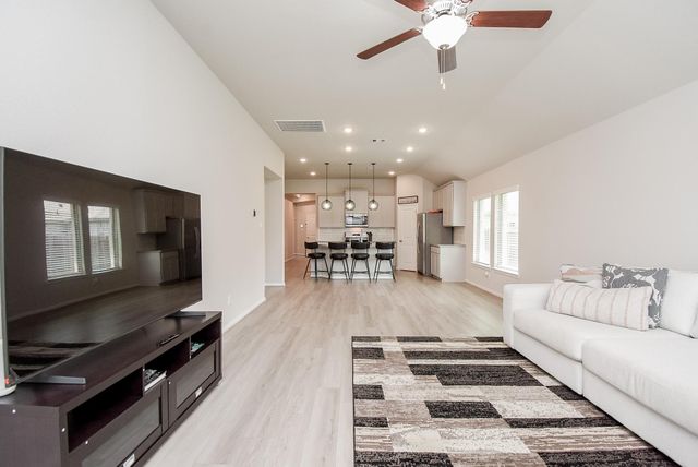 17007 Shine Bright Court, Hockley, TX 77447