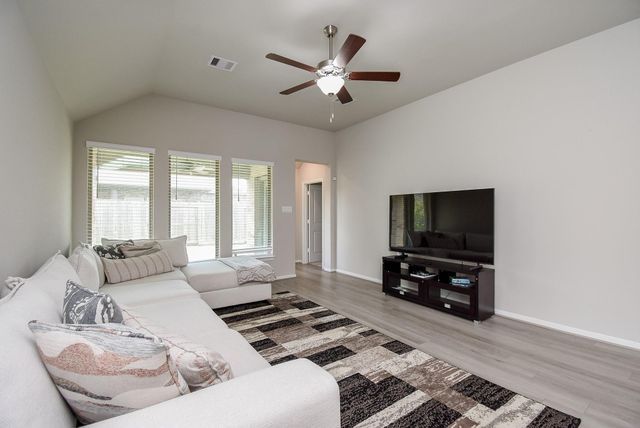 17007 Shine Bright Court, Hockley, TX 77447