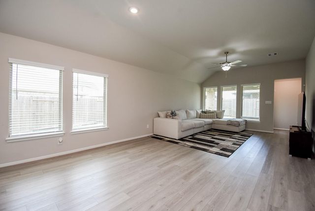 17007 Shine Bright Court, Hockley, TX 77447