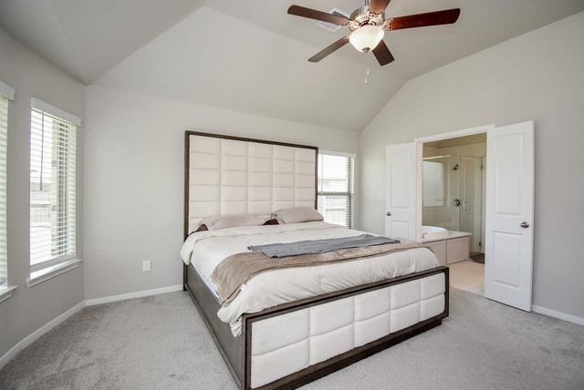 17007 Shine Bright Court, Hockley, TX 77447