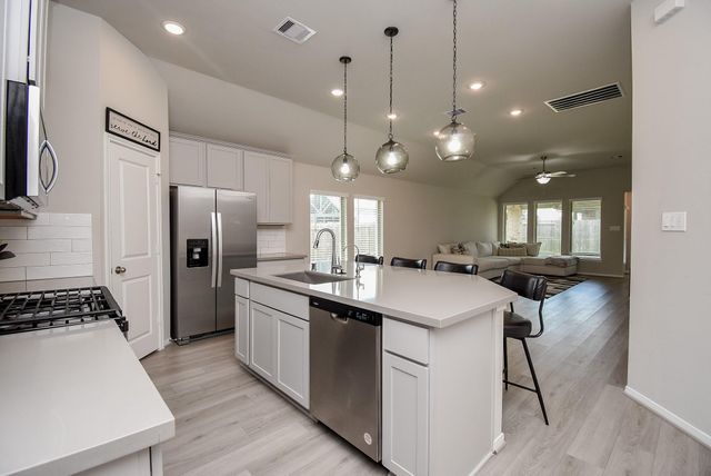 17007 Shine Bright Court, Hockley, TX 77447