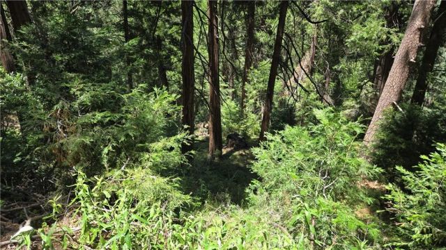 0 Deer Run, Cedarpines Park, CA 92322