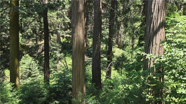 0 Deer Run, Cedarpines Park, CA 92322