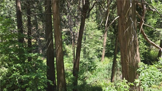 0 Deer Run, Cedarpines Park, CA 92322
