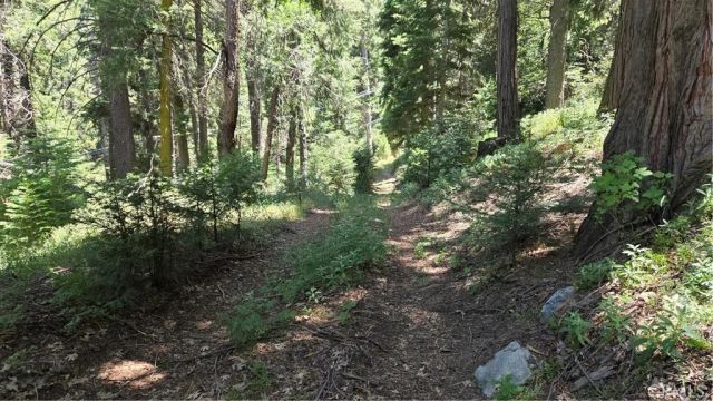 0 Deer Run, Cedarpines Park, CA 92322