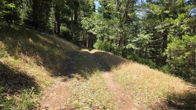 0 Deer Run, Cedarpines Park, CA 92322