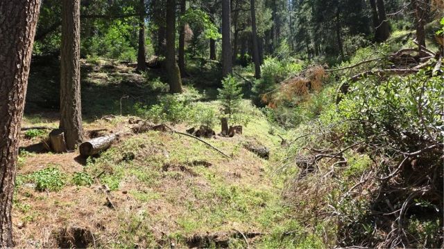0 Deer Run, Cedarpines Park, CA 92322