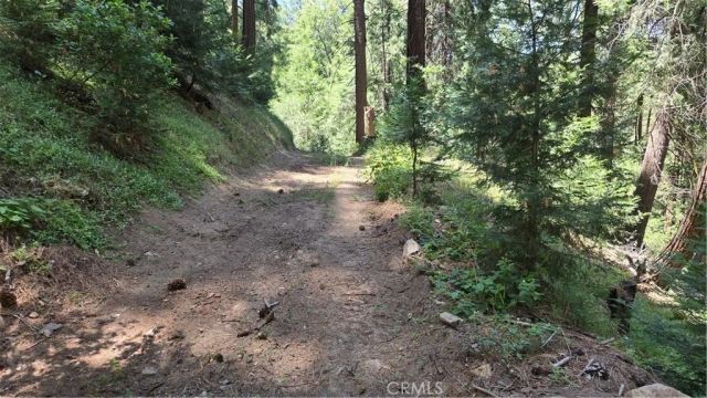 0 Deer Run, Cedarpines Park, CA 92322