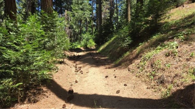 0 Deer Run, Cedarpines Park, CA 92322