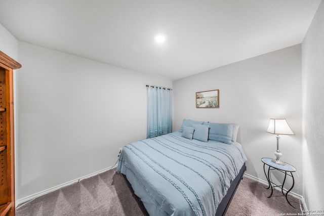 2618 Pechora Pipit, New Braunfels, TX 78130