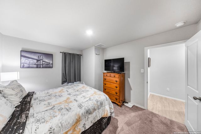 2618 Pechora Pipit, New Braunfels, TX 78130