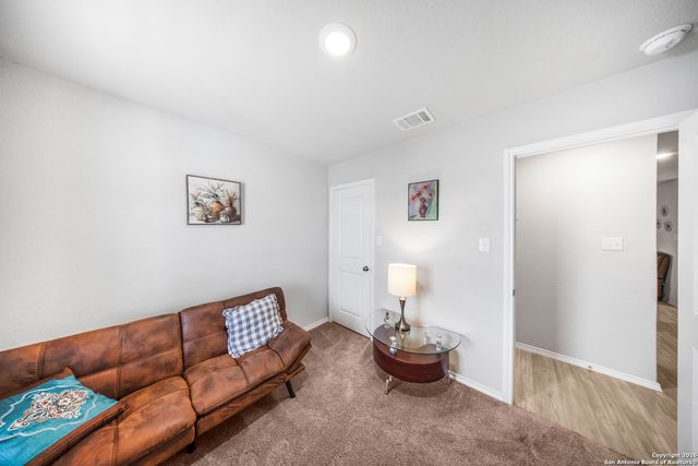 2618 Pechora Pipit, New Braunfels, TX 78130