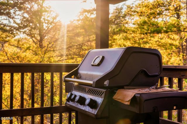 3214 Steeple Way, Pigeon Forge, TN 37863