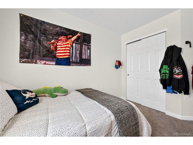 1541 Dawson Butte Way, Castle Rock, CO 80109