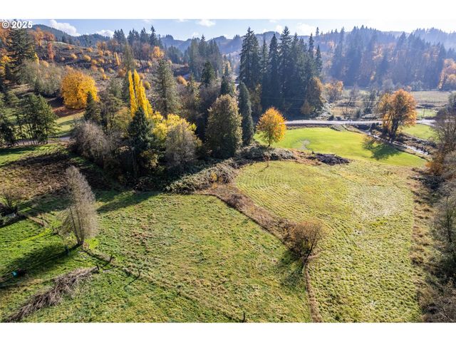 2104 DELAMETER Rd, Castle Rock, WA 98611