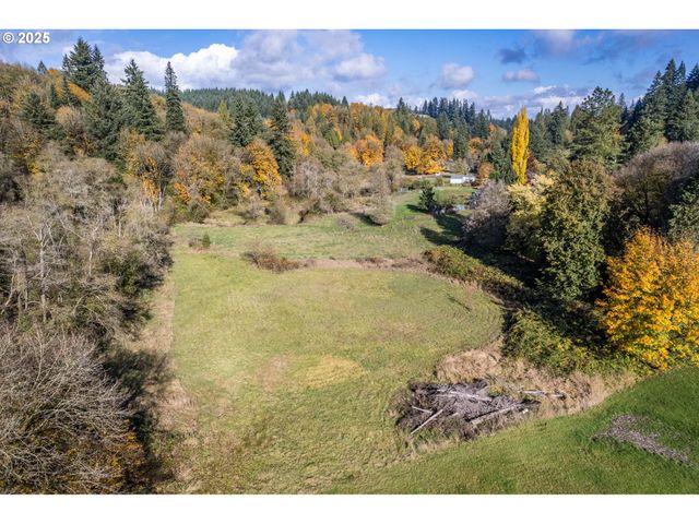 2104 DELAMETER Rd, Castle Rock, WA 98611