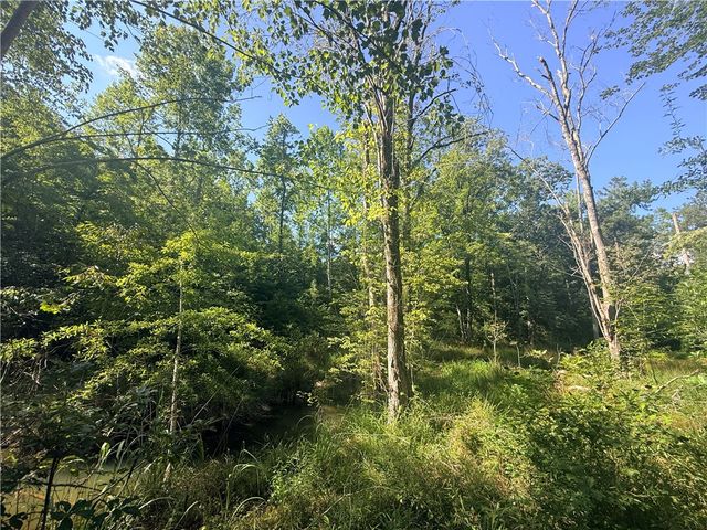 Lot 48 & 49 Stardust Lane, Seneca, SC 29672