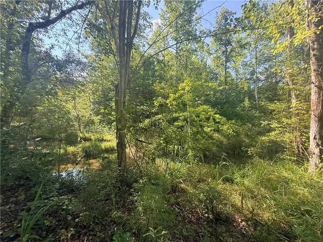 Lot 48 & 49 Stardust Lane, Seneca, SC 29672