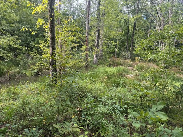 Lot 48 & 49 Stardust Lane, Seneca, SC 29672