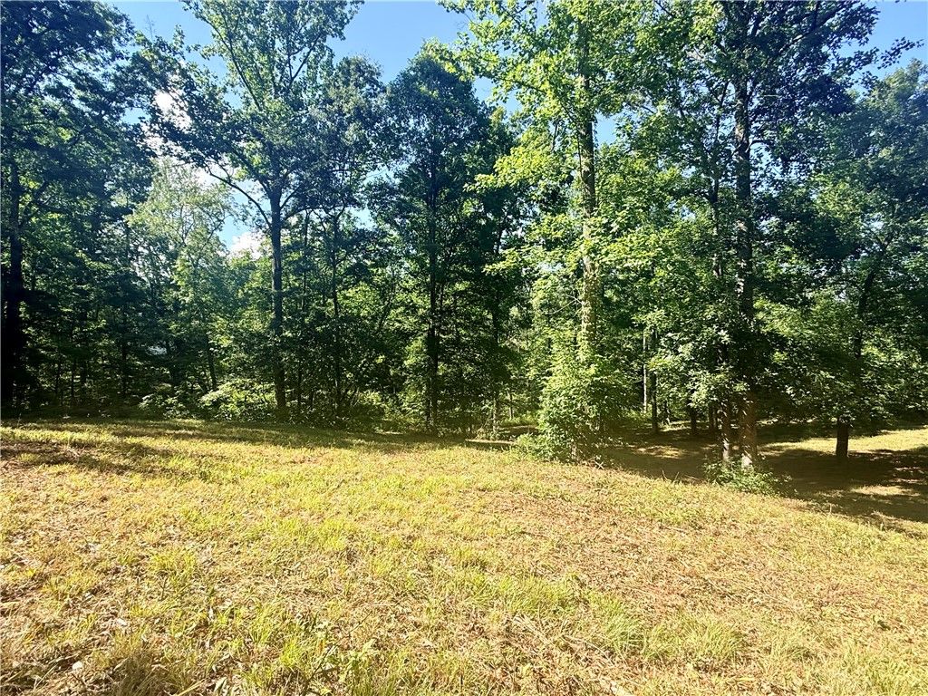 Lot 48 & 49 Stardust Lane, Seneca, SC 29672