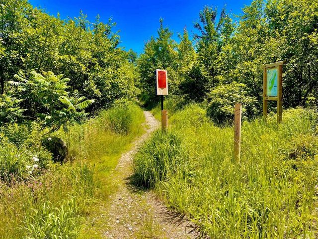 60 Brookside Avenue, Albany, NH 03818