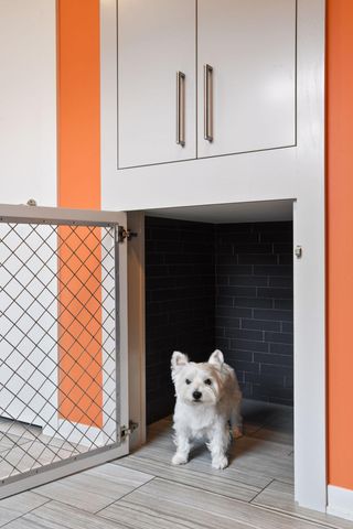 4812 Lakeview Drive, Edina, MN 55424