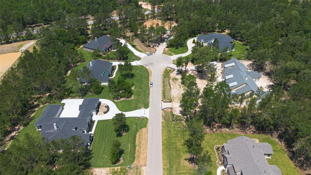7746 Dog Wood Acres Drive, Montgomery, TX 77316
