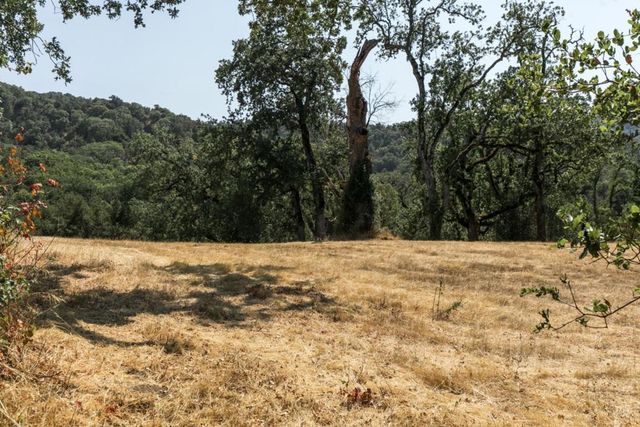 39 Arroyo Sequoia, Carmel Valley, CA 93923