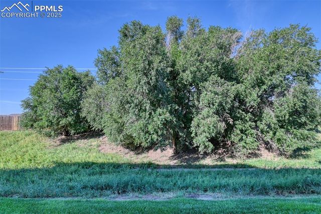 7355 Countryside Grove, Fountain, CO 80817