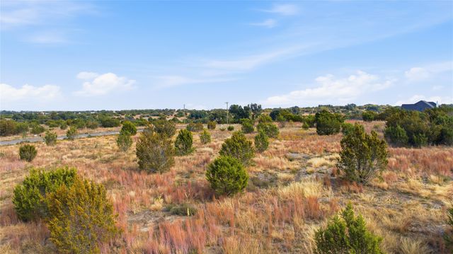 124 Gilmore Court, Lipan, TX 76462