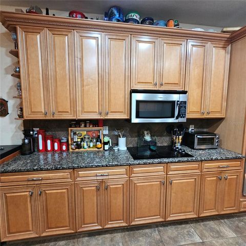 7306 BRIDGEVIEW DRIVE, Wesley Chapel, FL 33545