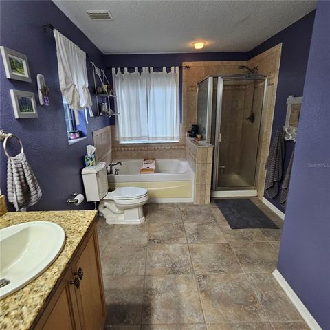 7306 BRIDGEVIEW DRIVE, Wesley Chapel, FL 33545