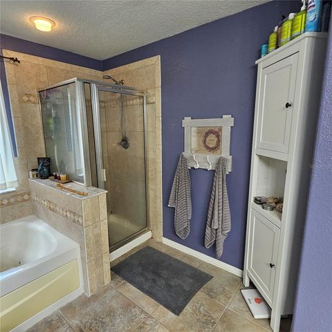 7306 BRIDGEVIEW DRIVE, Wesley Chapel, FL 33545