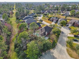 21146 Terrace Vine Lane, Spring, TX 77379
