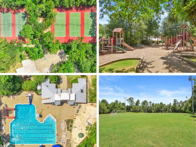 142 E Placid Hill Circle, The Woodlands, TX 77381