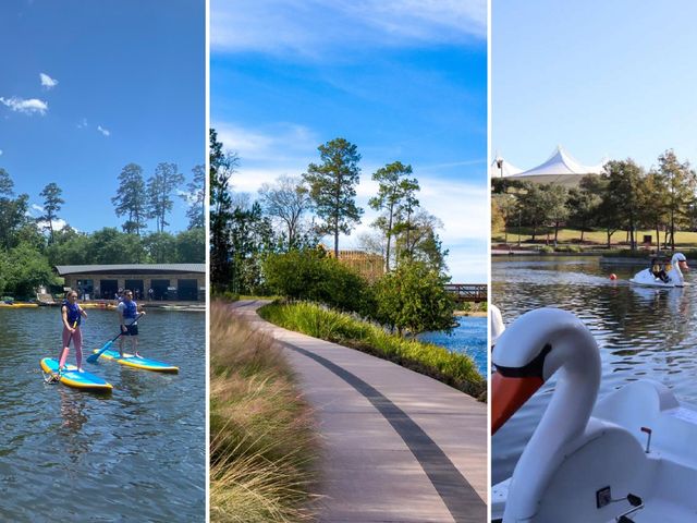 142 E Placid Hill Circle, The Woodlands, TX 77381