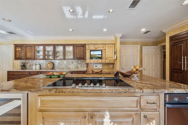 16607 AVILA BOULEVARD, Tampa, FL 33613