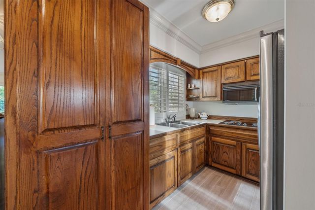 16607 AVILA BOULEVARD, Tampa, FL 33613