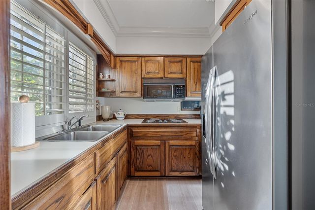 16607 AVILA BOULEVARD, Tampa, FL 33613