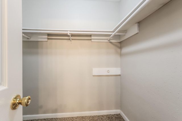 21126 N Tangle Creek Lane, Spring, TX 77388