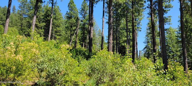 NNA Snowcat Lane Tract 4, Bonners Ferry, ID 83805