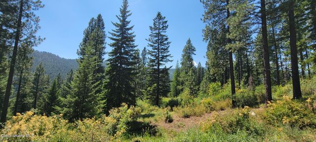NNA Snowcat Lane Tract 4, Bonners Ferry, ID 83805