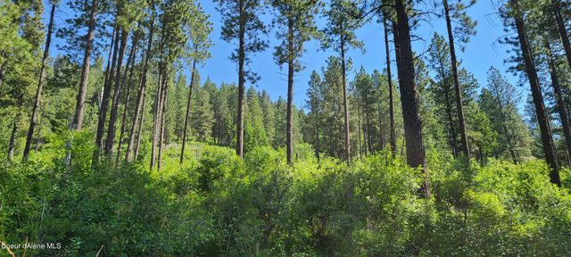 NNA Snowcat Lane Tract 4, Bonners Ferry, ID 83805