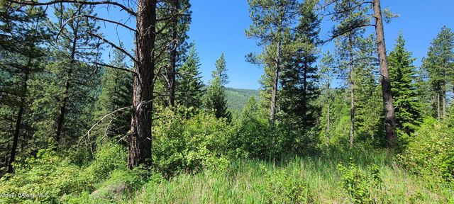 NNA Snowcat Lane Tract 4, Bonners Ferry, ID 83805