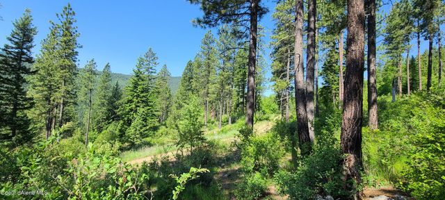 NNA Snowcat Lane Tract 4, Bonners Ferry, ID 83805