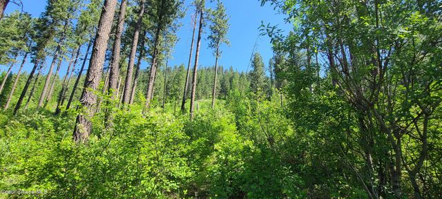 NNA Snowcat Lane Tract 4, Bonners Ferry, ID 83805