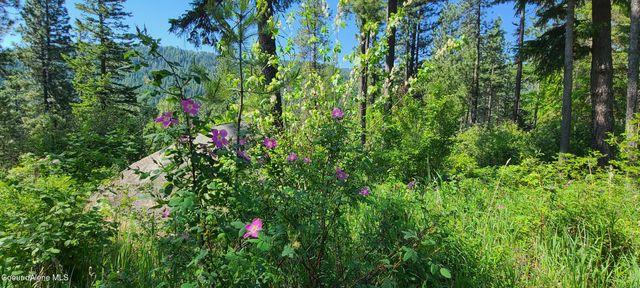 NNA Snowcat Lane Tract 4, Bonners Ferry, ID 83805
