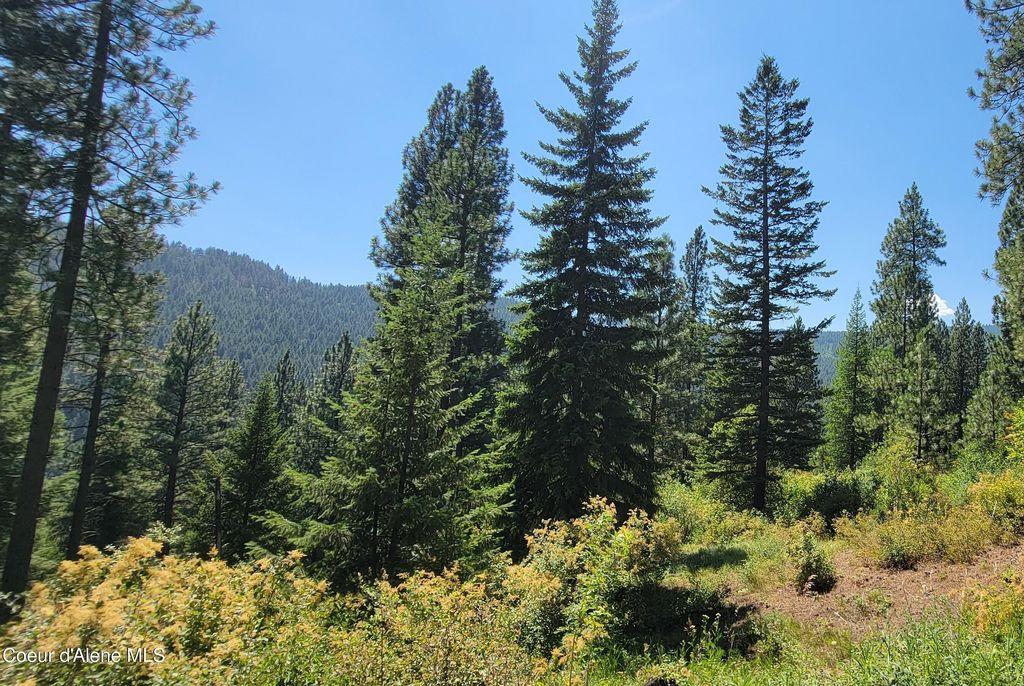 NNA Snowcat Lane Tract 4, Bonners Ferry, ID 83805